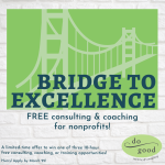 Bridge to Excellence free nonprofit consultancy program