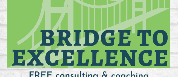 Bridge to Excellence free nonprofit consultancy program